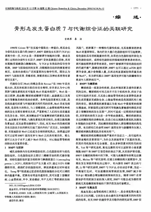 骨形态发生蛋白质7与代谢综合征的关联研究