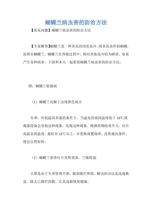 蝴蝶兰病虫害的防治方法