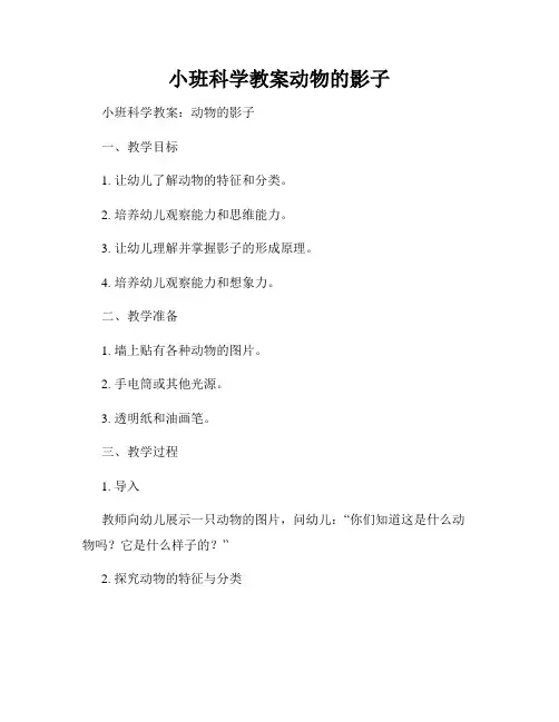 小班科学教案动物的影子