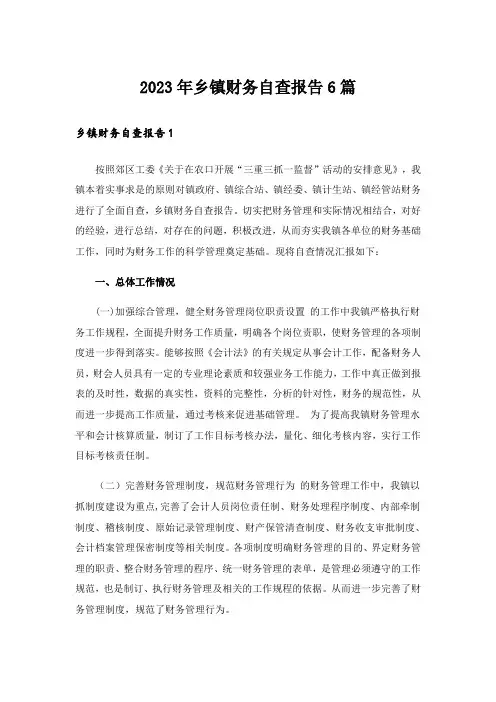 2023年乡镇财务自查报告6篇