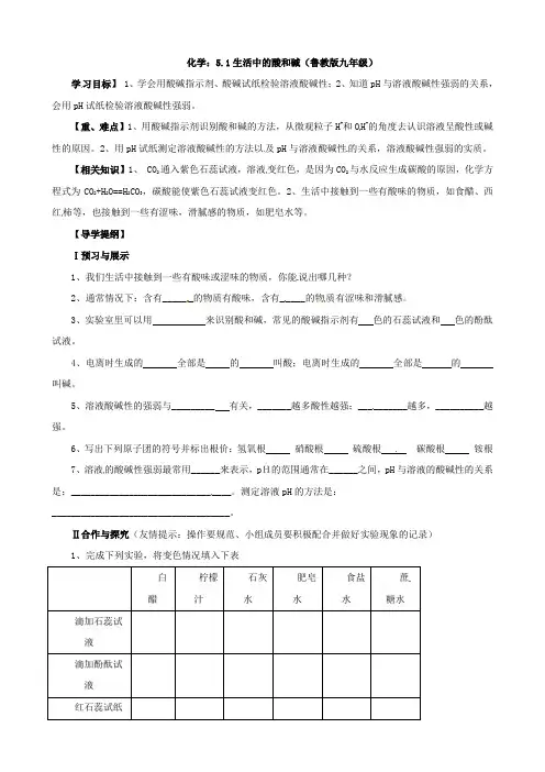 化学：5.1生活中的酸和碱学案(鲁教版九年级)