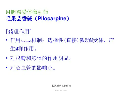 拟胆碱药抗胆碱药课件