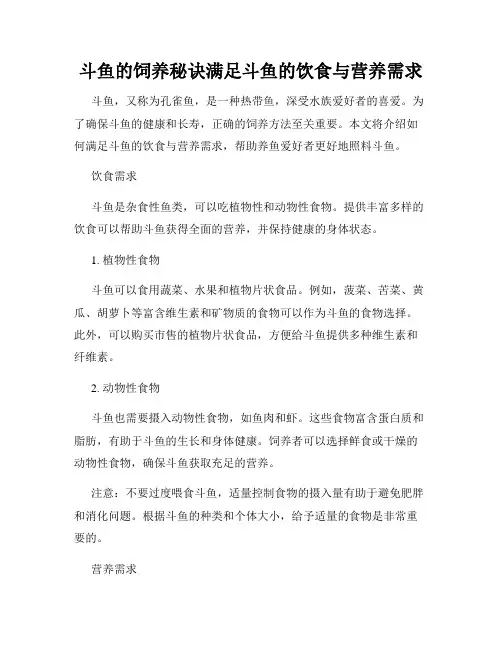 斗鱼的饲养秘诀满足斗鱼的饮食与营养需求