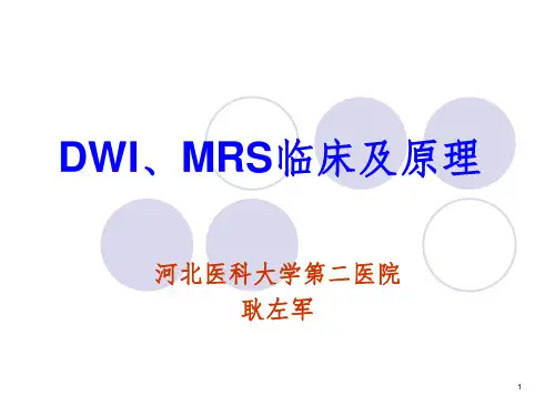 脑外DWI、MRS临床及原理分享资料