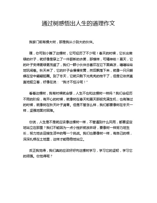 通过树感悟出人生的道理作文