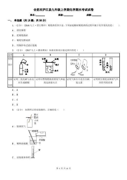 合肥市庐江县九年级上学期化学期末考试试卷