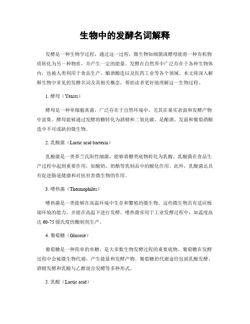 生物中的发酵名词解释