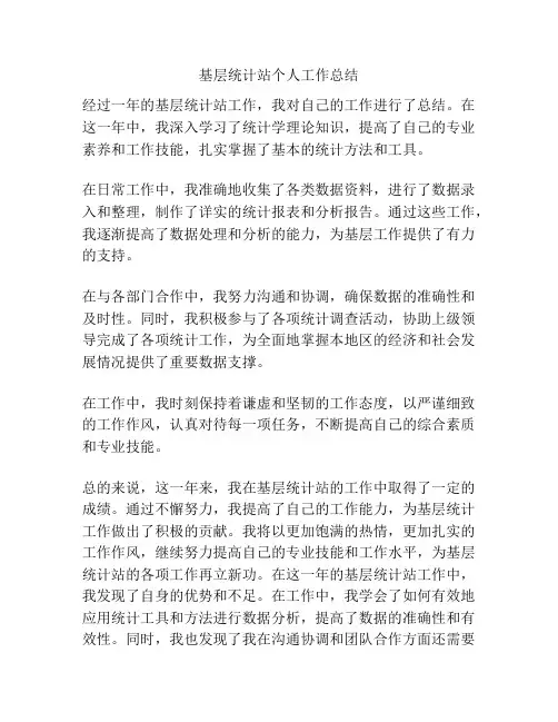 基层统计站个人工作总结