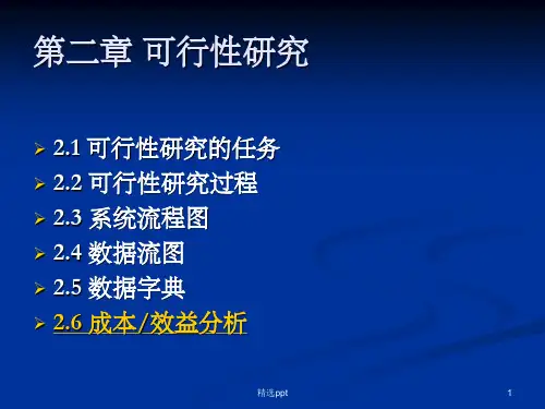 《可行性研究》PPT课件 (2)
