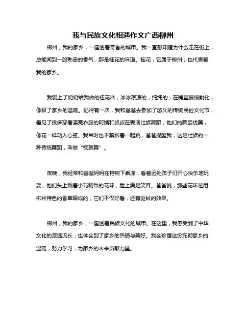 我与民族文化相遇作文广西柳州
