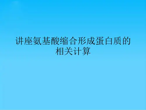 讲座氨基酸缩合形成蛋白质的相关计算