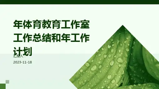 年体育教育工作室工作总结和年工作计划