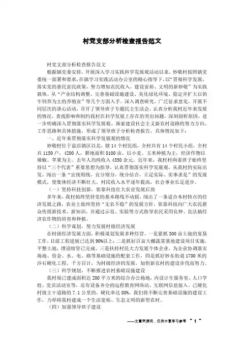 村党支部分析检查报告范文