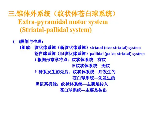 锥体外系统