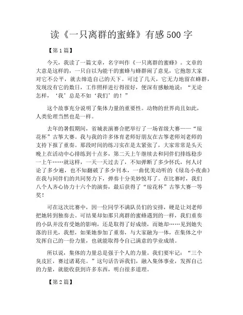 读《一只离群的蜜蜂》有感500字