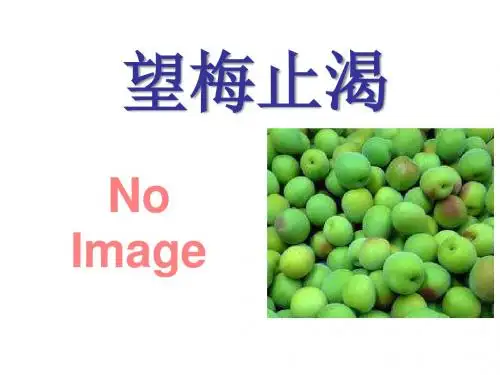 《望梅止渴》PPT精品教学课件2