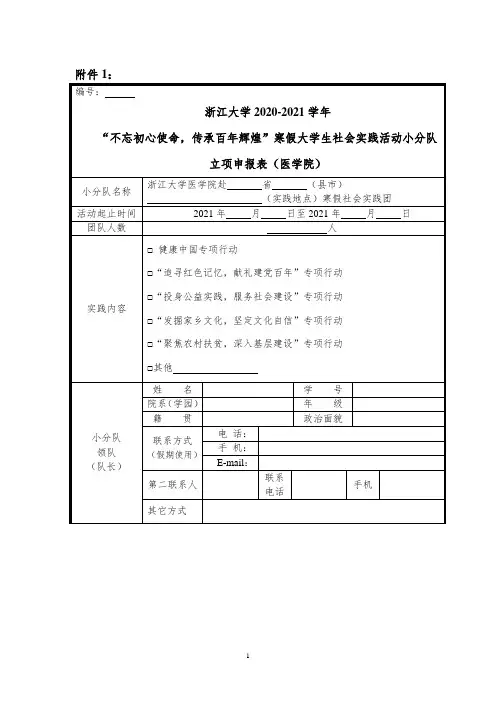 大学生暑期社会实践团队立项申报表