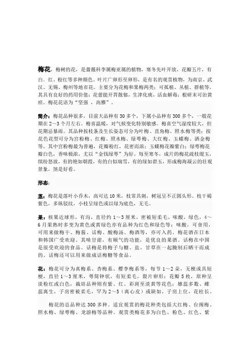 中国花文化鉴赏