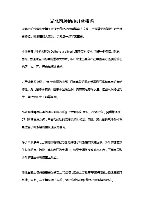 湖北可种植小叶紫檀吗