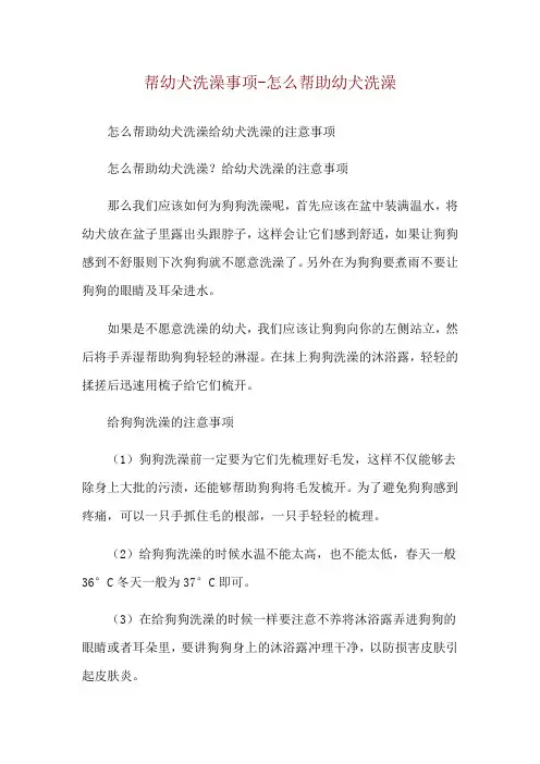 帮幼犬洗澡事项-怎么帮助幼犬洗澡