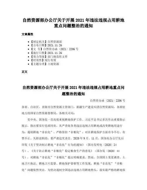 自然资源部办公厅关于开展2021年违法违规占用耕地重点问题整治的通知