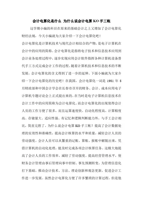 会计电算化是什么 为什么说会计电算KO手工帐 
