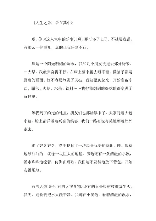 人生中的乐作文