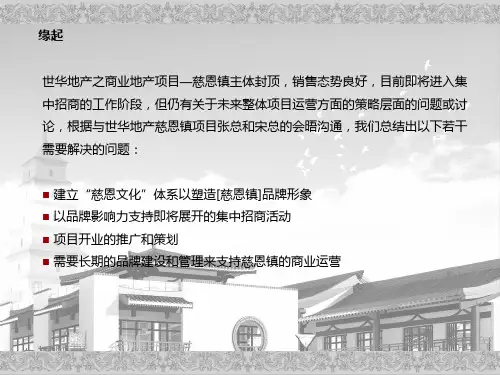 商业地产慈恩镇项目作业建议构思