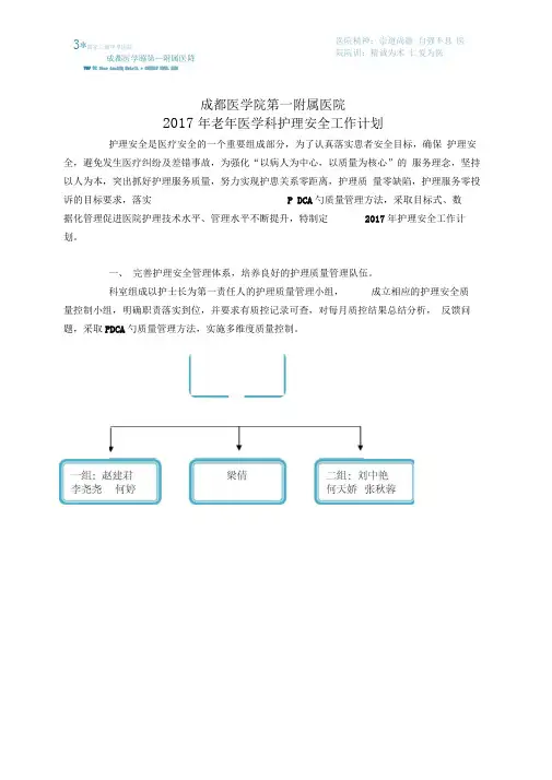完整word版2017护理安全工作计划