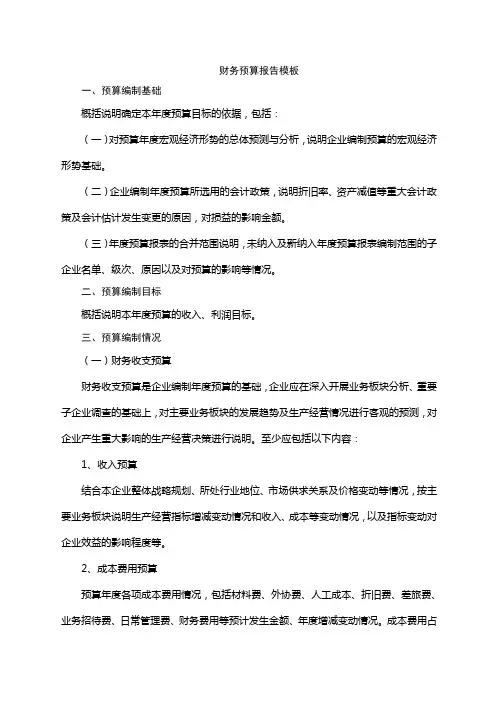 财务预算报告精选范文
