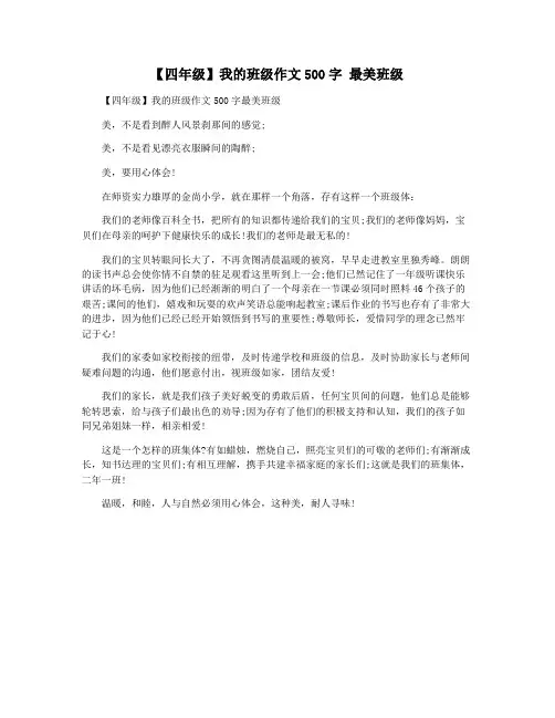 【四年级】我的班级作文500字 最美班级