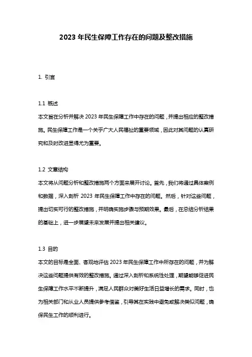 2023年民生保障工作存在的问题及整改措施