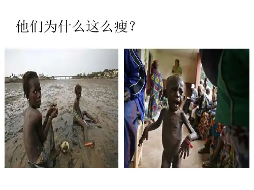 北师大版七年级下册生物课件 4. 8.1 人类的食物 第一课时 (共26张PPT)
