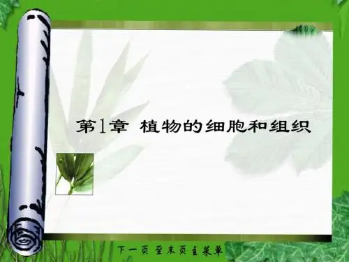 植物的细胞和组织