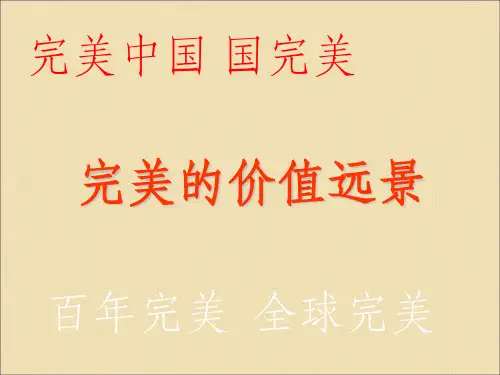 完美的价值远景最终ppt课件
