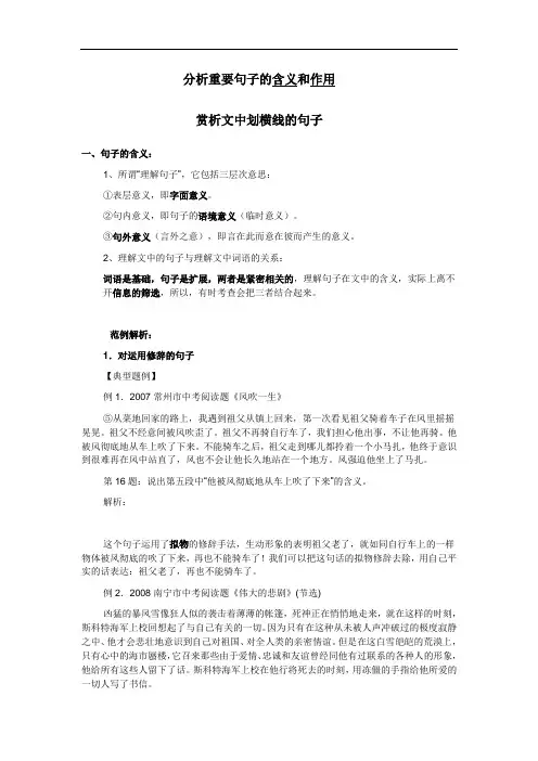 句子的含义和作用(上课用)