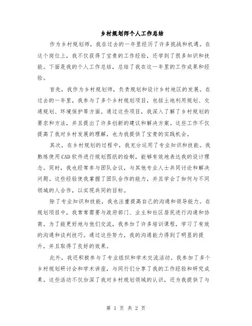 乡村规划师个人工作总结