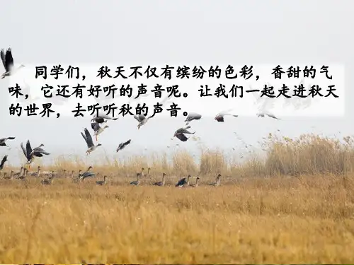 7.听听,秋的声音