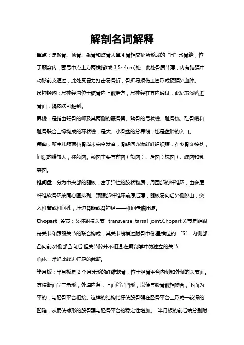 解剖名词解释
