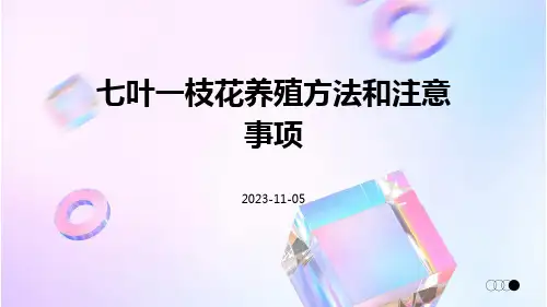 七叶一枝花的养殖方法和注意事项