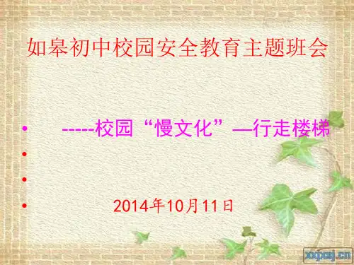 “慢文化”安全主题班会课件1