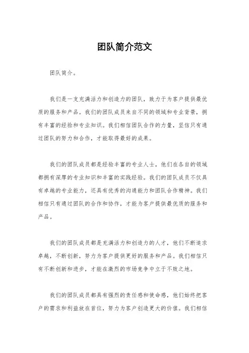 团队简介范文