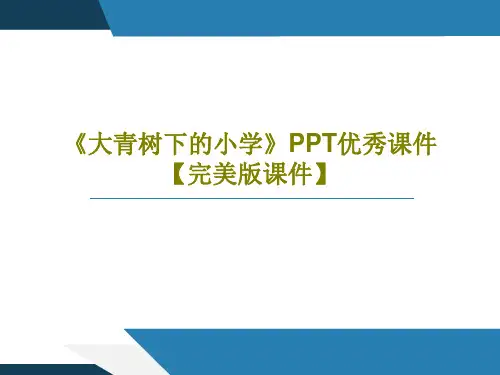 《大青树下的小学》PPT优秀课件【完美版课件】PPT共44页