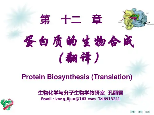 分子生物学蛋白质生物合成