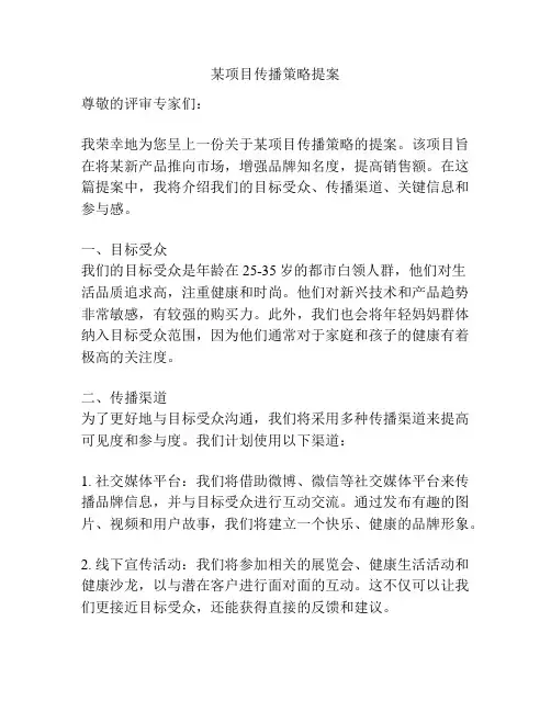 某项目传播策略提案