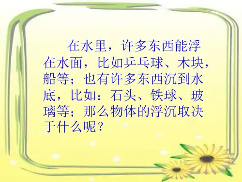 物体的浮与沉ppt9课件