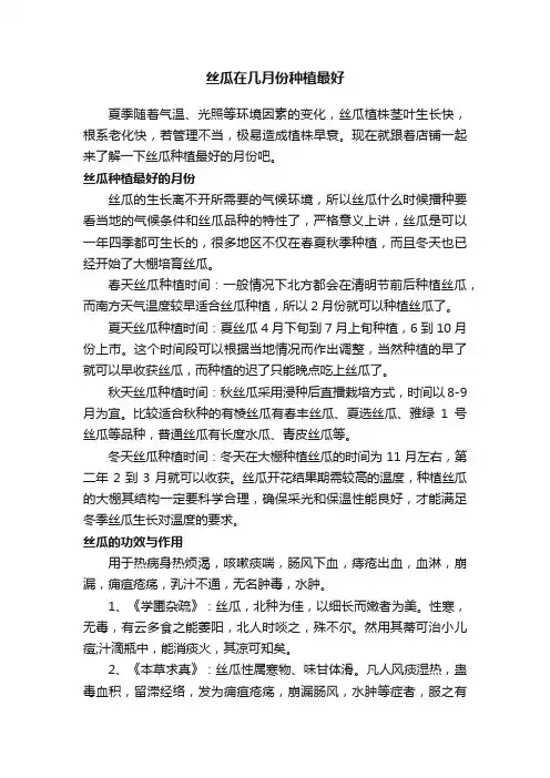 丝瓜在几月份种植最好
