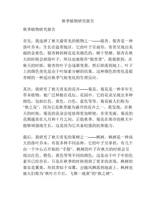 秋季植物研究报告