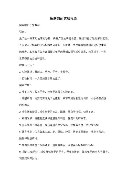 兔解剖的实验报告