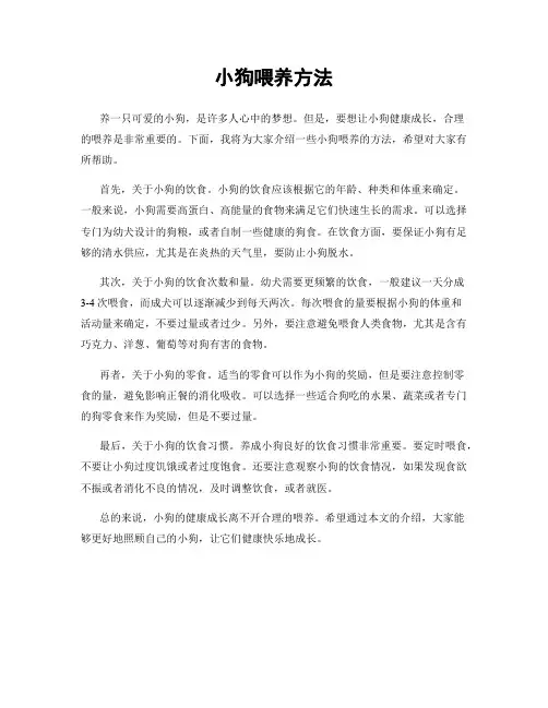 小狗喂养方法